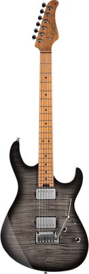 

Электрогитара, G290-FAT-II-TBB G Series