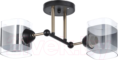Изображение товара Потолочный светильник Mirastyle WX-8034/2 BK+FG