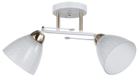 

Потолочный светильник Mirastyle, WX-8038/2 WH+FG