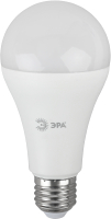 Лампа ЭРА Red Line LED A65-25W-865-E27 / Б0048011 - 