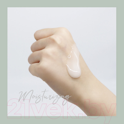 Изображение товара Крем для лица Fraijour Original Herb Wormwood Calming Watery Cream (10мл)