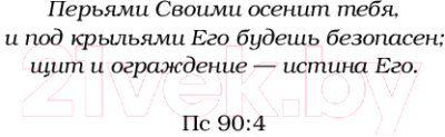 Книга АСТ Не разлучайте нас (Мерфи М.)