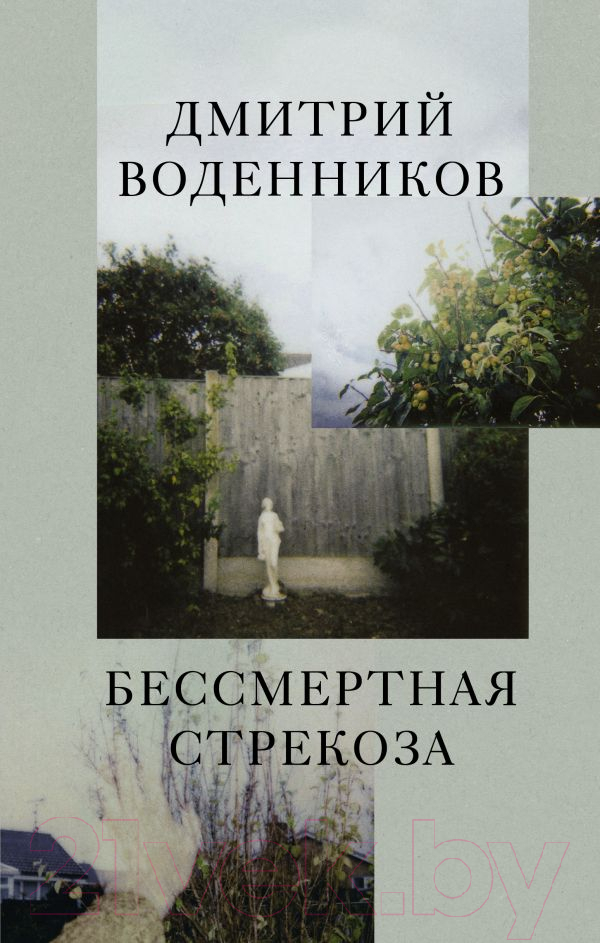 Художественная книга АСТ Бессмертная стрекоза (Воденников Д.Б.) — фото 1