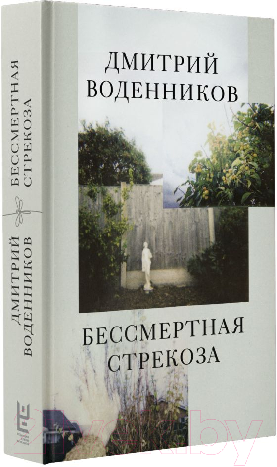 Художественная книга АСТ Бессмертная стрекоза (Воденников Д.Б.) — фото 2