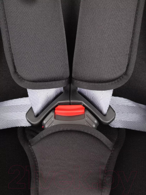 Автокресло Rant Basic Twist Isofix / YC06 (черный)