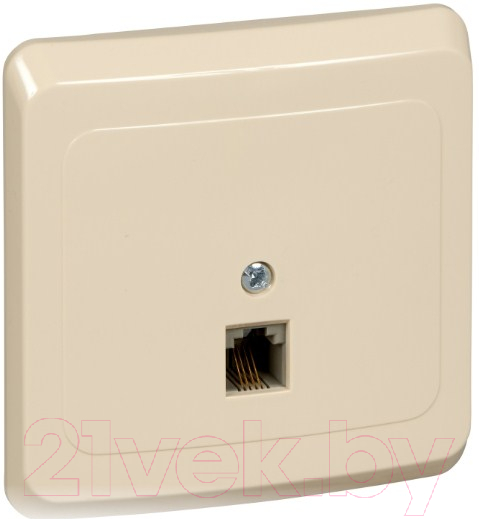 Розетка Systeme (Schneider) Electric Этюд TELC-001K