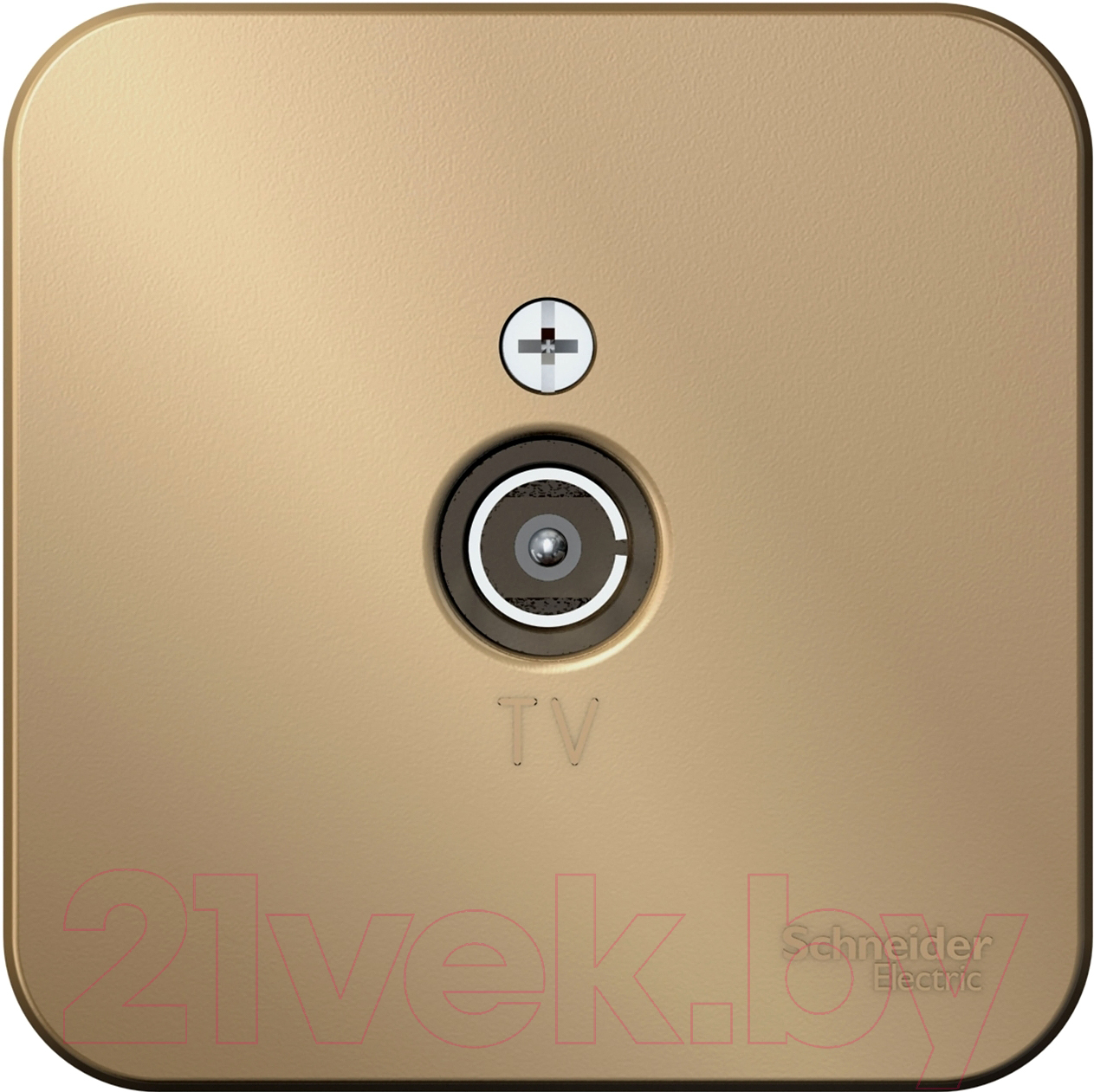 Розетка Systeme (Schneider) Electric Blanca BLNTA000014 — фото 1