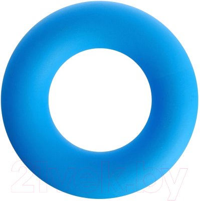 Эспандер Fortius H180701-10LB (10кг, голубой)