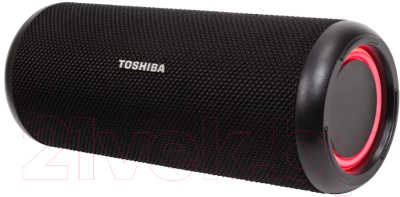 Портативная акустика Toshiba TY-WSP201
