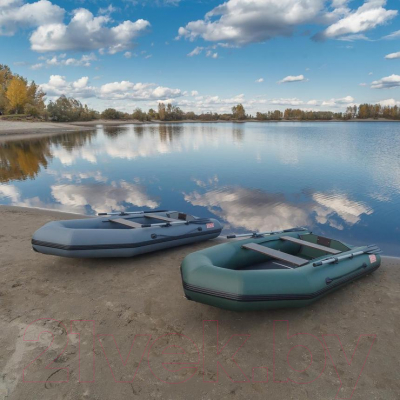 Изображение товара Надувная лодка Тонар Капитан Т290 (зеленая)