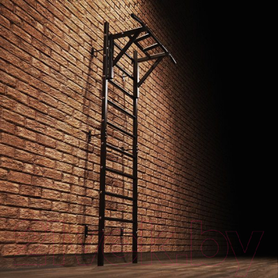 Изображение товара Шведская стенка DFC VT-7001