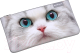 Миниатюра изображения товара Пенал Erich Krause Light White Cat / 57204