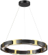Потолочный светильник Odeon Light Fierro 4991/55L - 