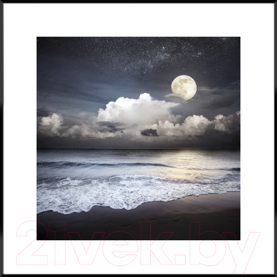Картина Orlix Лунный пляж / OB-14251