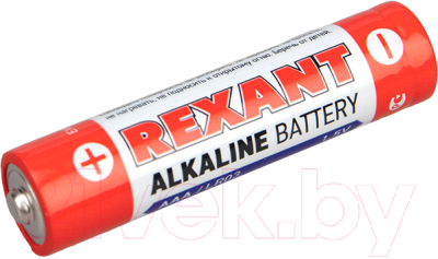 Комплект батареек Rexant 30-1013 (24шт)