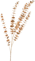 Искусственное растение Koopman Эвкалипт / AAE324060 (золото) - 
