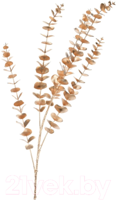 Искусственное растение Koopman Эвкалипт / AAE324060 (золото)