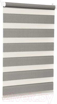 Рулонная штора Delfa Сантайм День-Ночь Масо МКД DN-41605 (48x170, серый)