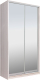 Миниатюра изображения товара Шкаф-купе Рэйгрупп 138 YYX Elgon РГ-11.04 (ясень снежный/хром)