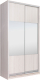 Миниатюра изображения товара Шкаф-купе Рэйгрупп 120 YYX Elgon РГ-12.01 (ясень снежный/хром)