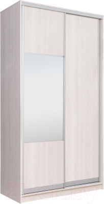 

Шкаф Рэйгрупп, 120 YYX Elgon РГ-12.05