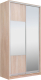 Миниатюра изображения товара Шкаф-купе Рэйгрупп 158 TTX Elgon РГ-10.06 (дуб торонто/хром)