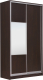 Миниатюра изображения товара Шкаф-купе Рэйгрупп 120 VVX Elgon РГ-12.05 (венге/хром)