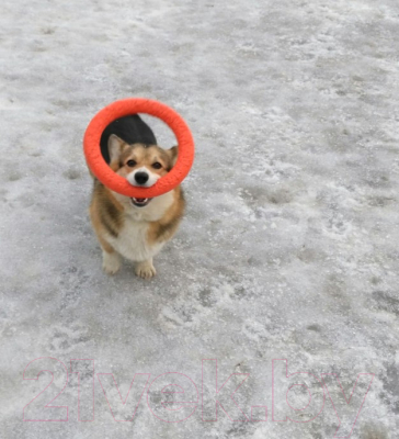 Игрушка для животных Doglike Tug & Twist DL Кольцо 8-мигранное / D-2611 М (М, оранжевое)