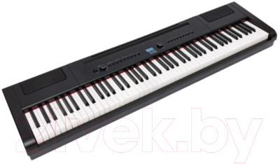 Цифровое фортепиано Rockdale Keys RDP-4088 (Black)