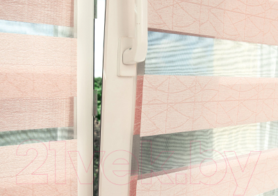 Рулонная штора Delfa Сантайм День-Ночь Роко МКД DN-43053 (34x160, розовый)