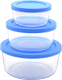 Миниатюра изображения товара Набор контейнеров Appetite SL3RB (голубой)