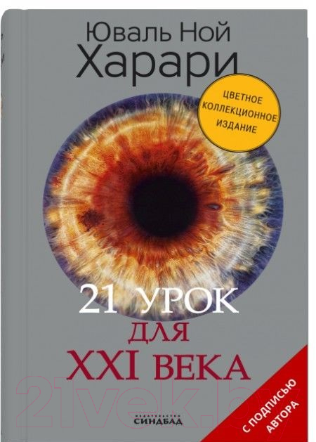 Книга Sindbad 21 урок для XXI века