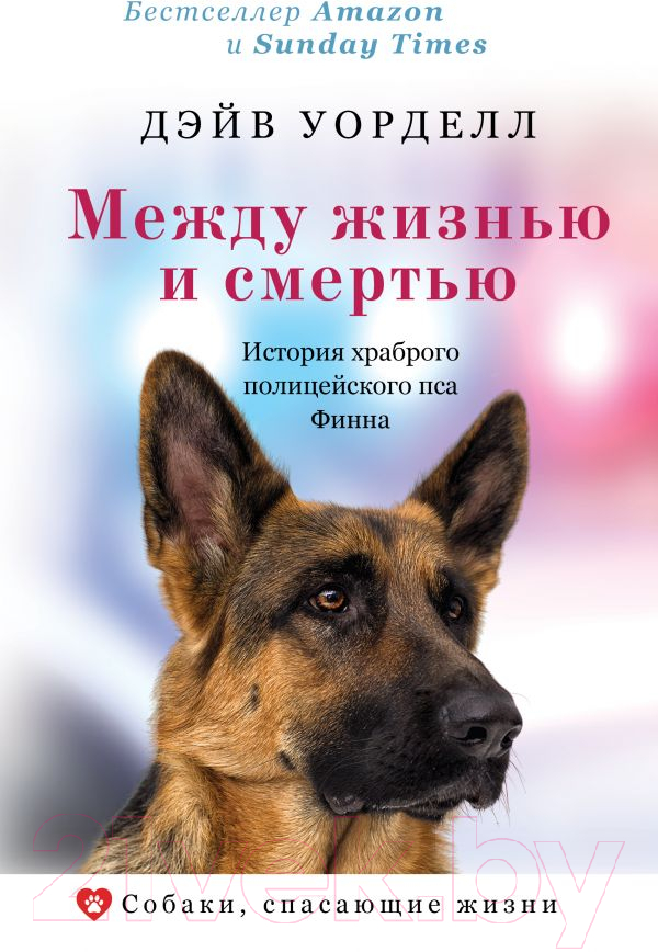 Книга АСТ Между жизнью и смертью (Уорделл Д.)
