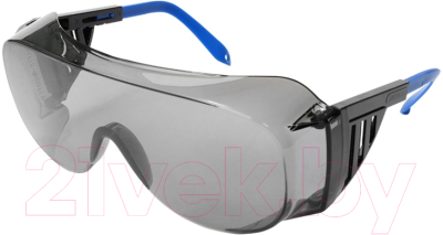Изображение товара Защитные очки РОСОМЗ О45 Визион 5-2.5 PL / 14524