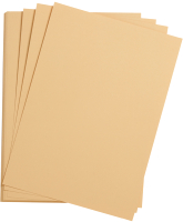

Набор цветной бумаги Clairefontaine, Etival color / 93797C