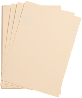 

Набор цветной бумаги Clairefontaine, Etival color / 93791C