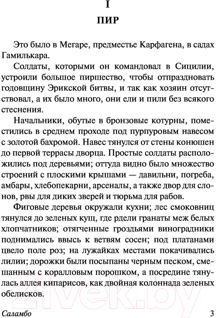 Художественная книга АСТ Саламбо (Флобер Г.) — фото 4