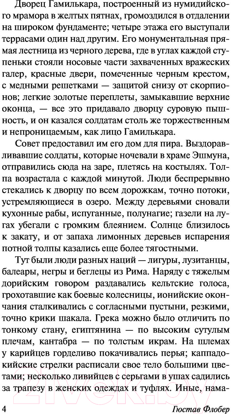 Художественная книга АСТ Саламбо (Флобер Г.) — фото 5