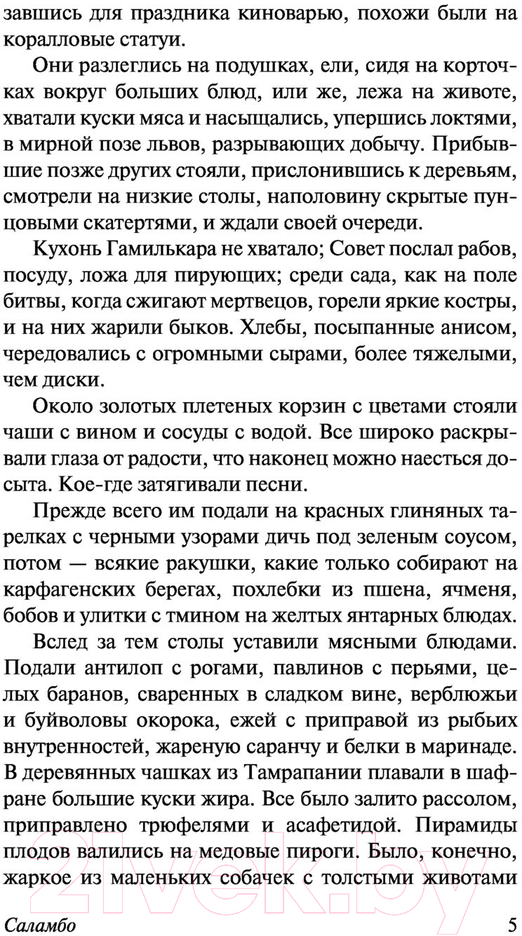 Художественная книга АСТ Саламбо (Флобер Г.) — фото 6