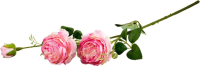 Искусственный цветок Волшебная страна Роза пионовидная / 004072 - 