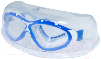 Очки для плавания Atemi Z401 (синий/серый)