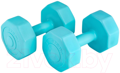 

Набор гантелей Atemi, Голубой, AD026