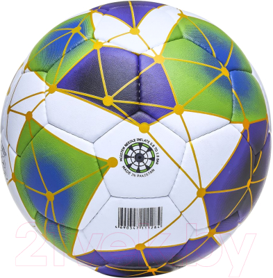 Футбольный мяч Atemi Spectrum (размер 5, белый/синий/зеленый)