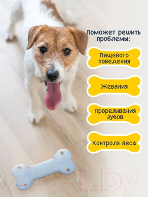 Игрушка для животных Fancy Pets Косточка / FPT1