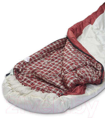 Спальный мешок Atemi Quilt 300LN