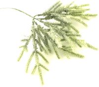 

Ветка новогодняя GreenDeco, BRS2-20-017C