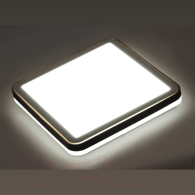 Потолочный светильник Sonex Effa 7621/DL
