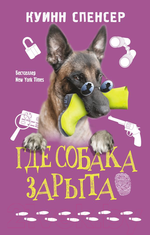 Художественная книга АСТ Где собака зарыта (Куинн С.)