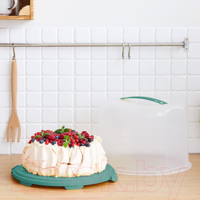 Блюдо для торта Rotho Fresh Cake dome XL with trays / 1046105092