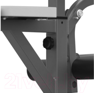 Изображение товара Скамья для жима штанги DFC D705